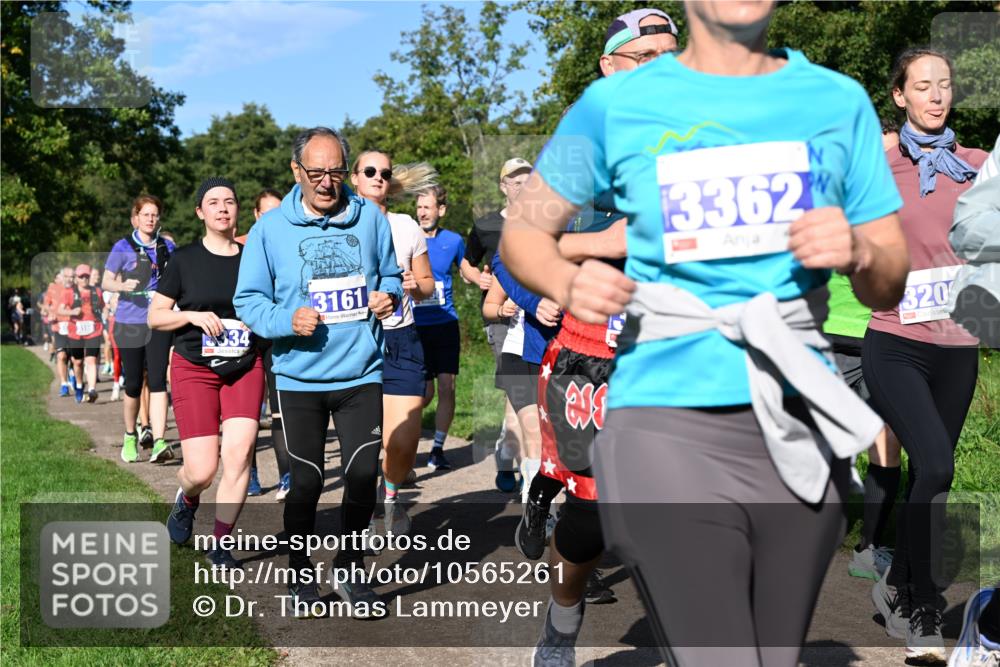 27.09.2026 - 35. Volkslauf durch das schöne Alstertal Dr. Thomas Lammeyer http://msf.ph/oto/10565261 27.09.2026 10:37:12 Laufen 334, 3161, 3362, 320 meine-sportfotos.de