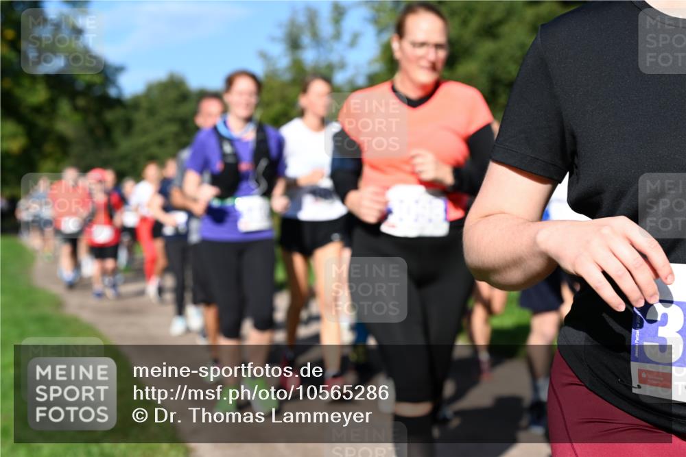 27.09.2026 - 35. Volkslauf durch das schöne Alstertal Dr. Thomas Lammeyer http://msf.ph/oto/10565286 27.09.2026 10:37:15 Laufen  meine-sportfotos.de