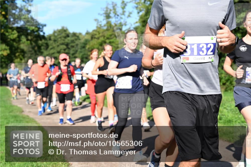 27.09.2026 - 35. Volkslauf durch das schöne Alstertal Dr. Thomas Lammeyer http://msf.ph/oto/10565306 27.09.2026 10:37:17 Laufen 3132 meine-sportfotos.de