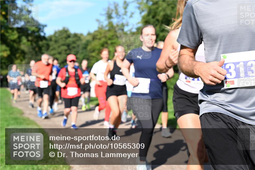27.09.2026 - 35. Volkslauf durch das schöne Alstertal Dr. Thomas Lammeyer http://msf.ph/oto/10565309 27.09.2026 10:37:18 Laufen 313 meine-sportfotos.de