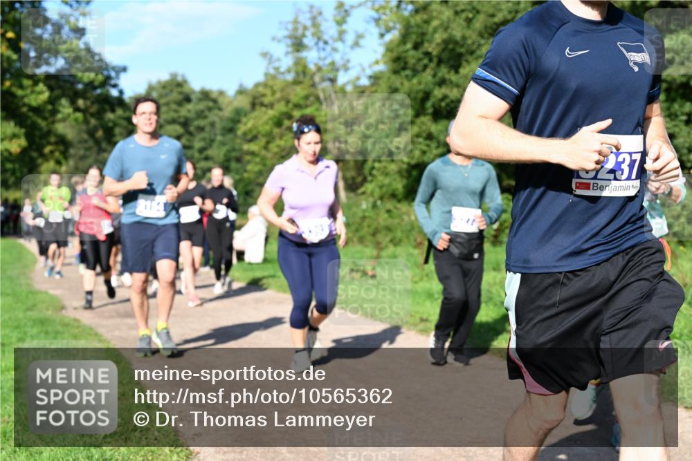 27.09.2026 - 35. Volkslauf durch das schöne Alstertal Dr. Thomas Lammeyer http://msf.ph/oto/10565362 27.09.2026 10:37:23 Laufen 237 meine-sportfotos.de