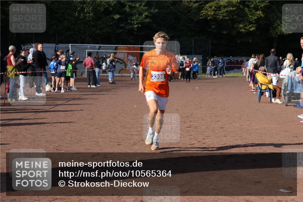 27.09.2026 - 35. Volkslauf durch das schöne Alstertal Strokosch-Dieckow http://msf.ph/oto/10565364 27.09.2026 11:11:22 Ziel 3308 meine-sportfotos.de