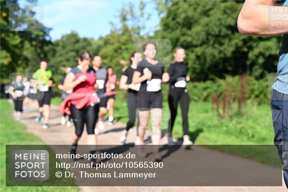 27.09.2026 - 35. Volkslauf durch das schöne Alstertal Dr. Thomas Lammeyer http://msf.ph/oto/10565390 27.09.2026 10:37:27 Laufen  meine-sportfotos.de
