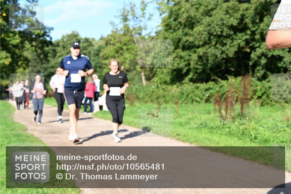 27.09.2026 - 35. Volkslauf durch das schöne Alstertal Dr. Thomas Lammeyer http://msf.ph/oto/10565481 27.09.2026 10:37:36 Laufen  meine-sportfotos.de