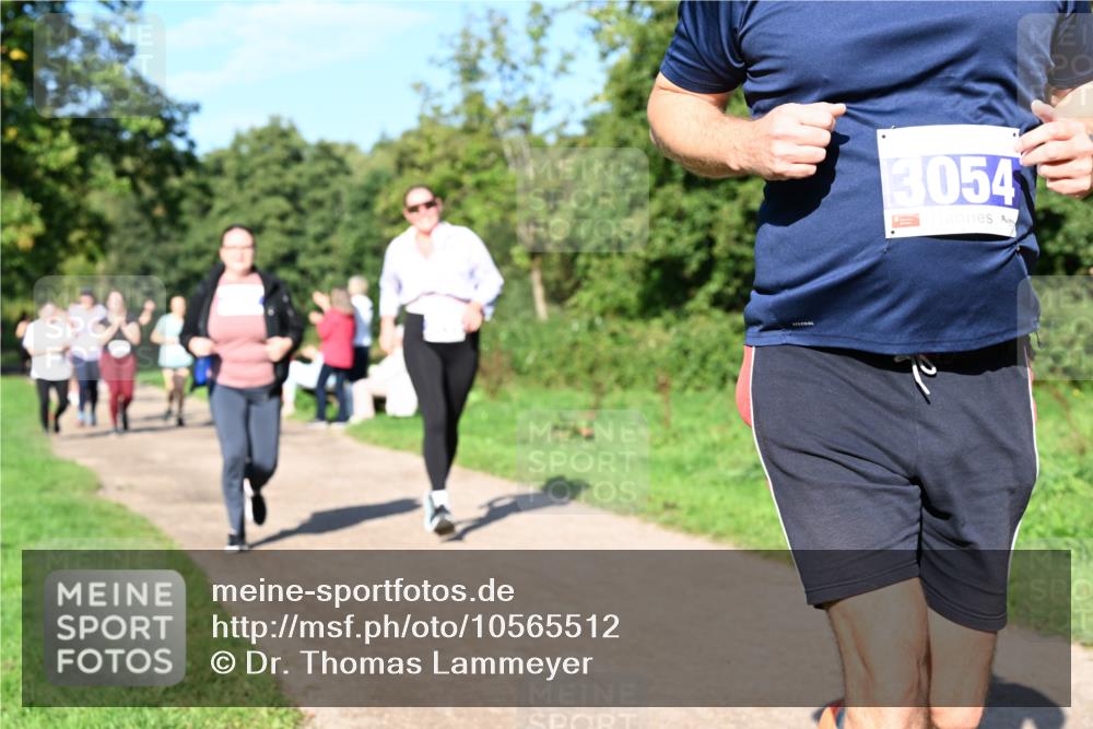 27.09.2026 - 35. Volkslauf durch das schöne Alstertal Dr. Thomas Lammeyer http://msf.ph/oto/10565512 27.09.2026 10:37:40 Laufen 3054 meine-sportfotos.de
