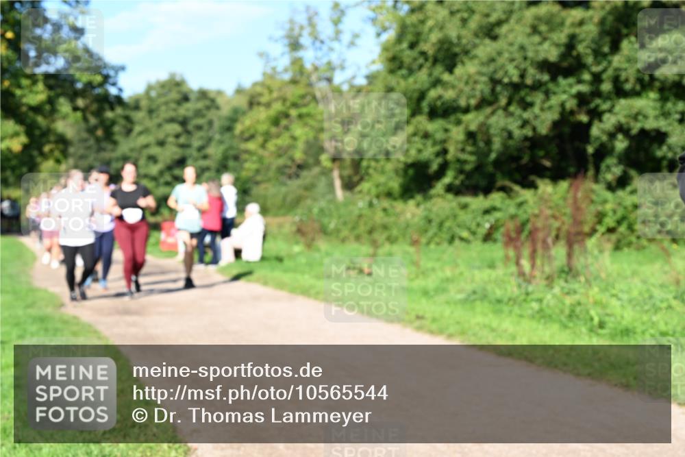 27.09.2026 - 35. Volkslauf durch das schöne Alstertal Dr. Thomas Lammeyer http://msf.ph/oto/10565544 27.09.2026 10:37:43 Laufen  meine-sportfotos.de