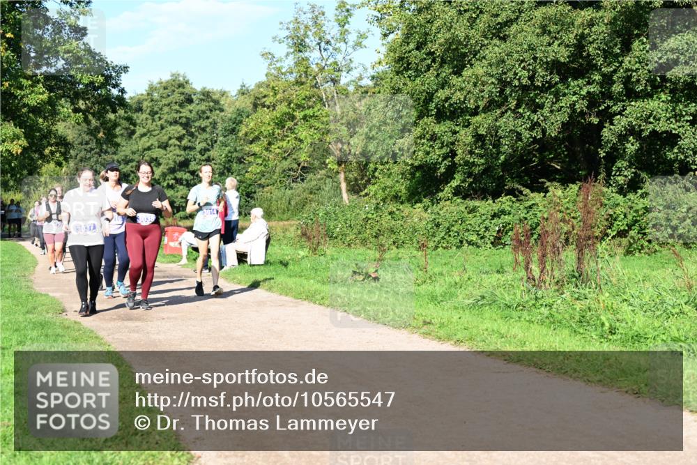 27.09.2026 - 35. Volkslauf durch das schöne Alstertal Dr. Thomas Lammeyer http://msf.ph/oto/10565547 27.09.2026 10:37:44 Laufen 3037, 3038, 3014 meine-sportfotos.de