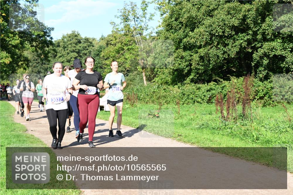 27.09.2026 - 35. Volkslauf durch das schöne Alstertal Dr. Thomas Lammeyer http://msf.ph/oto/10565565 27.09.2026 10:37:46 Laufen 3037, 3038, 3014 meine-sportfotos.de