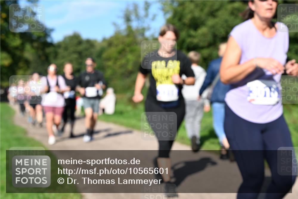 27.09.2026 - 35. Volkslauf durch das schöne Alstertal Dr. Thomas Lammeyer http://msf.ph/oto/10565601 27.09.2026 10:37:50 Laufen  meine-sportfotos.de