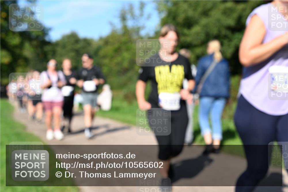 27.09.2026 - 35. Volkslauf durch das schöne Alstertal Dr. Thomas Lammeyer http://msf.ph/oto/10565602 27.09.2026 10:37:50 Laufen  meine-sportfotos.de