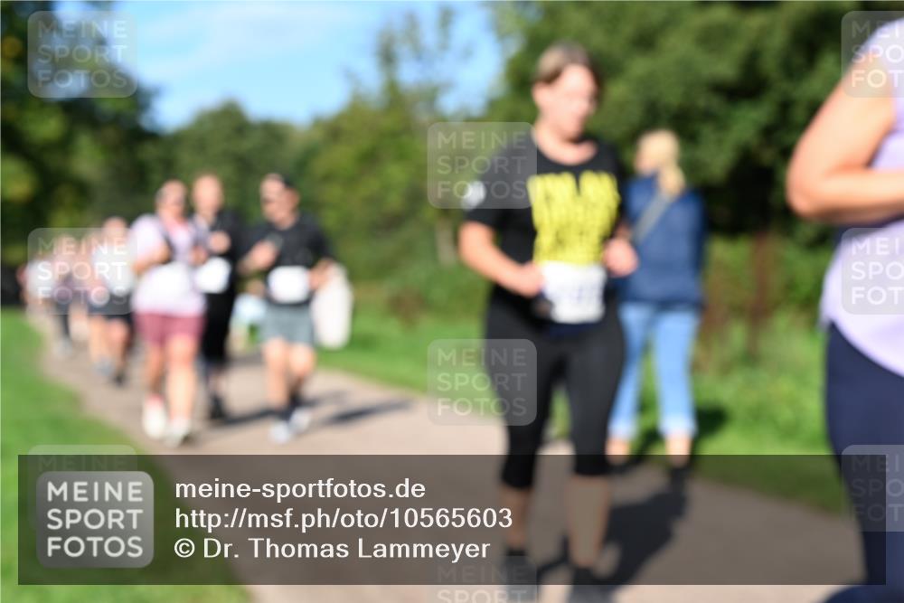 27.09.2026 - 35. Volkslauf durch das schöne Alstertal Dr. Thomas Lammeyer http://msf.ph/oto/10565603 27.09.2026 10:37:50 Laufen  meine-sportfotos.de
