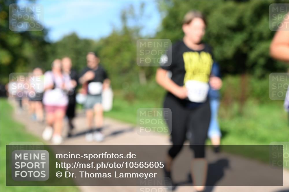 27.09.2026 - 35. Volkslauf durch das schöne Alstertal Dr. Thomas Lammeyer http://msf.ph/oto/10565605 27.09.2026 10:37:50 Laufen  meine-sportfotos.de