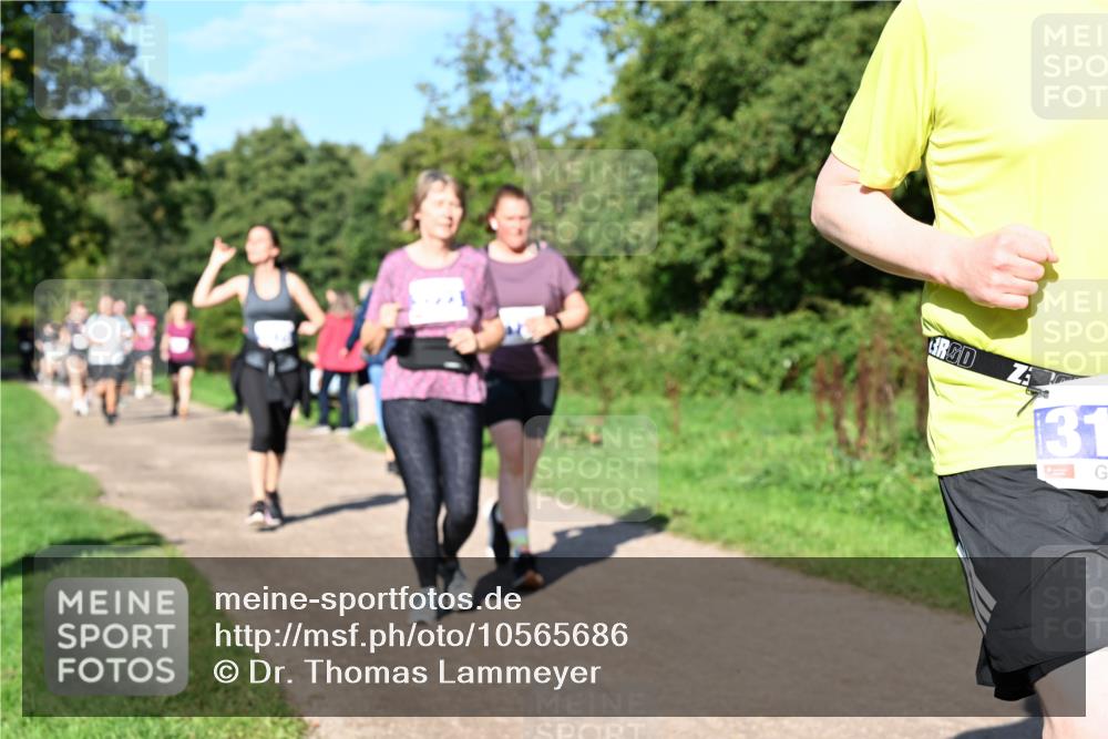 27.09.2026 - 35. Volkslauf durch das schöne Alstertal Dr. Thomas Lammeyer http://msf.ph/oto/10565686 27.09.2026 10:37:59 Laufen 31 meine-sportfotos.de
