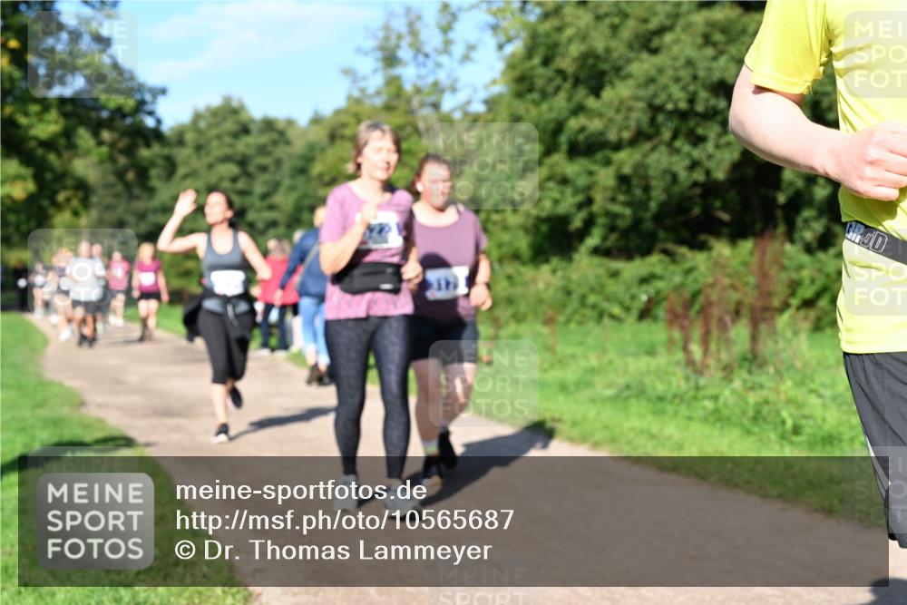 27.09.2026 - 35. Volkslauf durch das schöne Alstertal Dr. Thomas Lammeyer http://msf.ph/oto/10565687 27.09.2026 10:37:59 Laufen 40 meine-sportfotos.de
