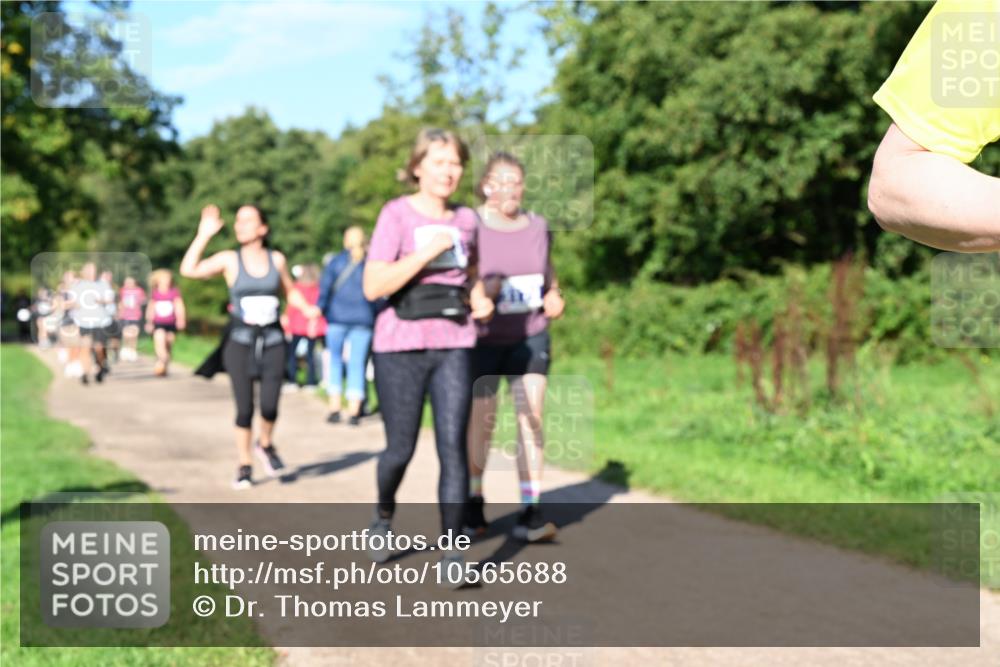 27.09.2026 - 35. Volkslauf durch das schöne Alstertal Dr. Thomas Lammeyer http://msf.ph/oto/10565688 27.09.2026 10:37:59 Laufen 4 meine-sportfotos.de