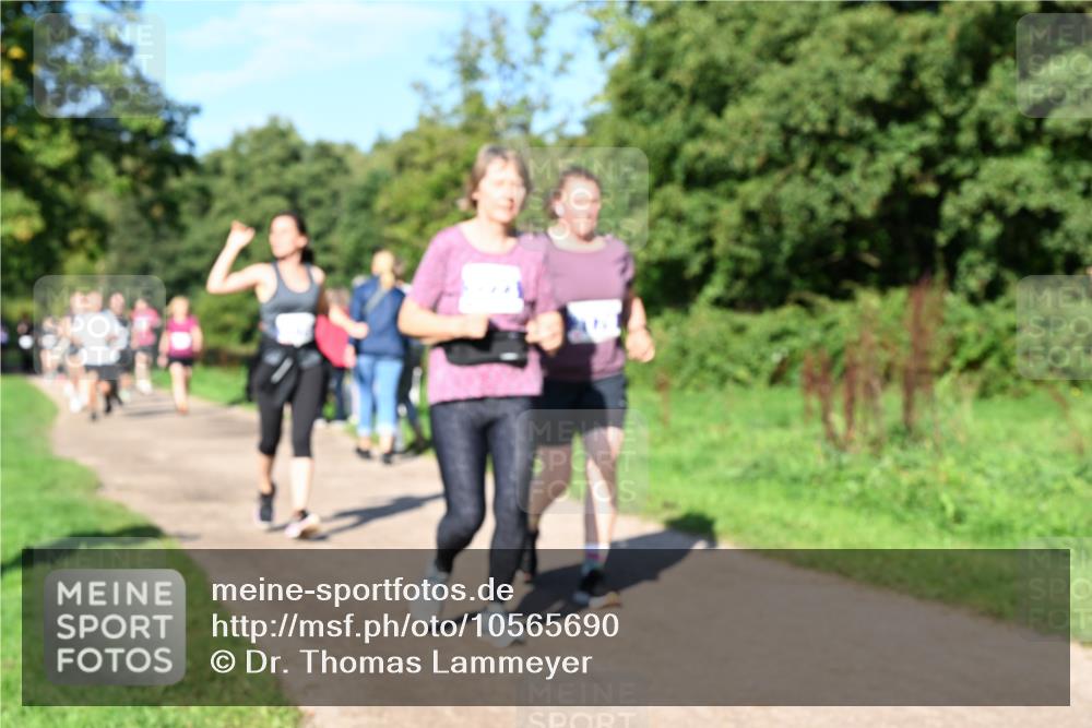 27.09.2026 - 35. Volkslauf durch das schöne Alstertal Dr. Thomas Lammeyer http://msf.ph/oto/10565690 27.09.2026 10:37:59 Laufen  meine-sportfotos.de