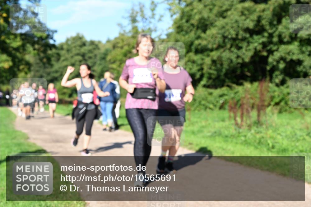27.09.2026 - 35. Volkslauf durch das schöne Alstertal Dr. Thomas Lammeyer http://msf.ph/oto/10565691 27.09.2026 10:37:59 Laufen  meine-sportfotos.de