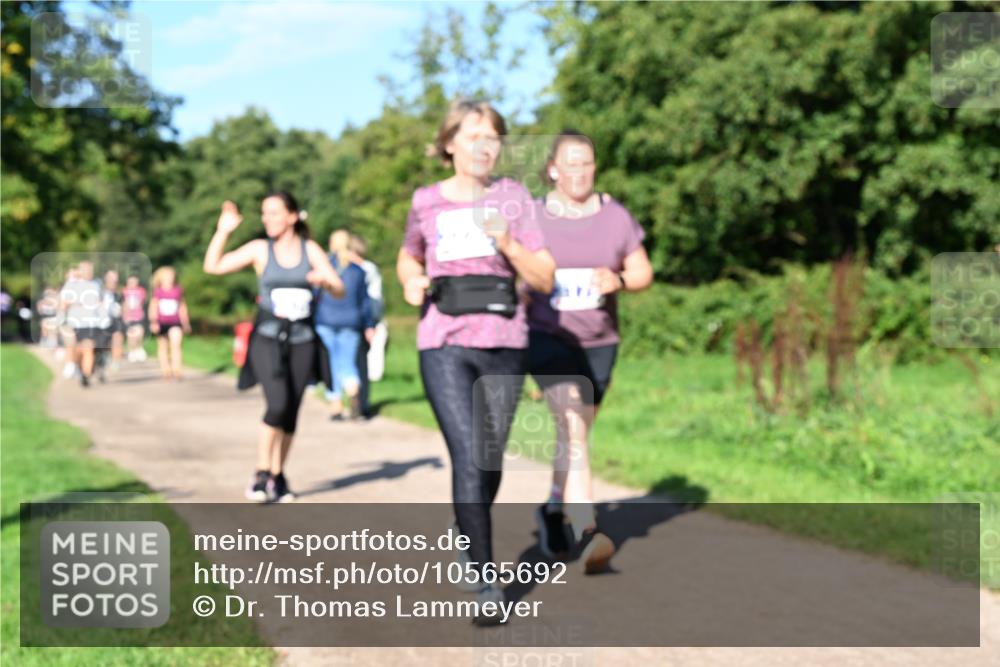 27.09.2026 - 35. Volkslauf durch das schöne Alstertal Dr. Thomas Lammeyer http://msf.ph/oto/10565692 27.09.2026 10:38:00 Laufen  meine-sportfotos.de