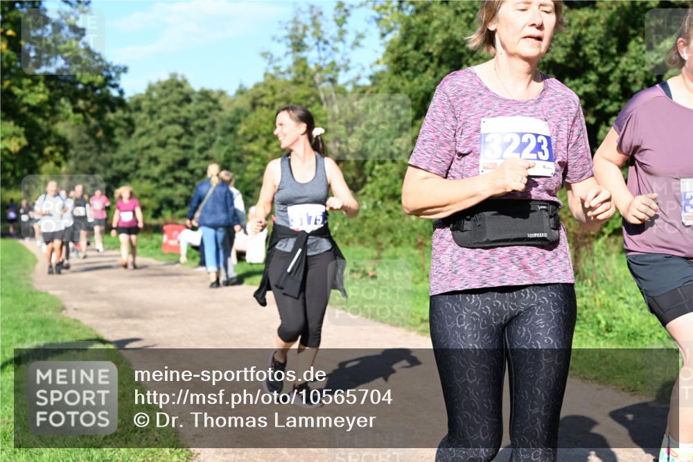 27.09.2026 - 35. Volkslauf durch das schöne Alstertal Dr. Thomas Lammeyer http://msf.ph/oto/10565704 27.09.2026 10:38:01 Laufen 3223, 175 meine-sportfotos.de
