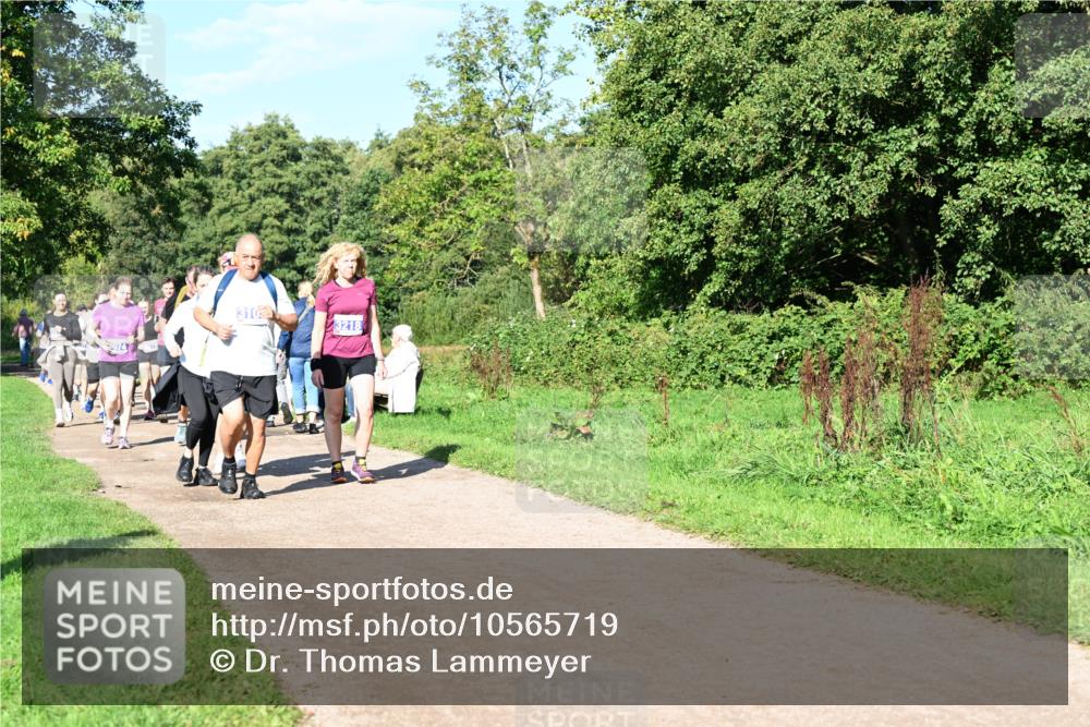 27.09.2026 - 35. Volkslauf durch das schöne Alstertal Dr. Thomas Lammeyer http://msf.ph/oto/10565719 27.09.2026 10:38:07 Laufen 074, 3103, 3218 meine-sportfotos.de