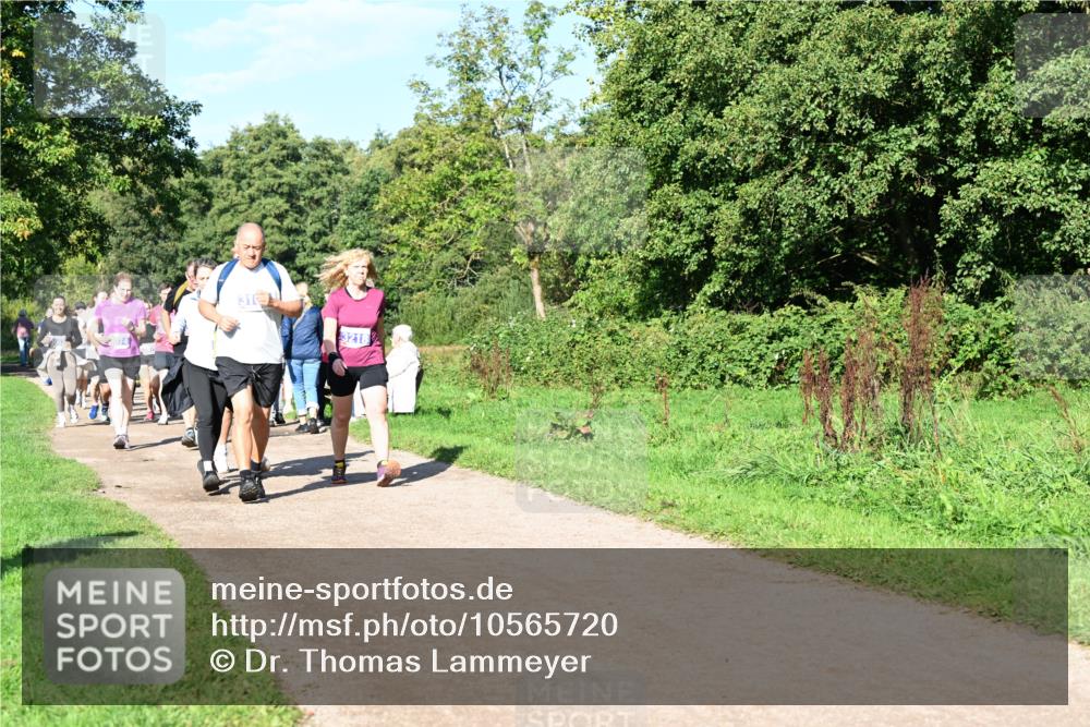 27.09.2026 - 35. Volkslauf durch das schöne Alstertal Dr. Thomas Lammeyer http://msf.ph/oto/10565720 27.09.2026 10:38:07 Laufen 31, 3218 meine-sportfotos.de