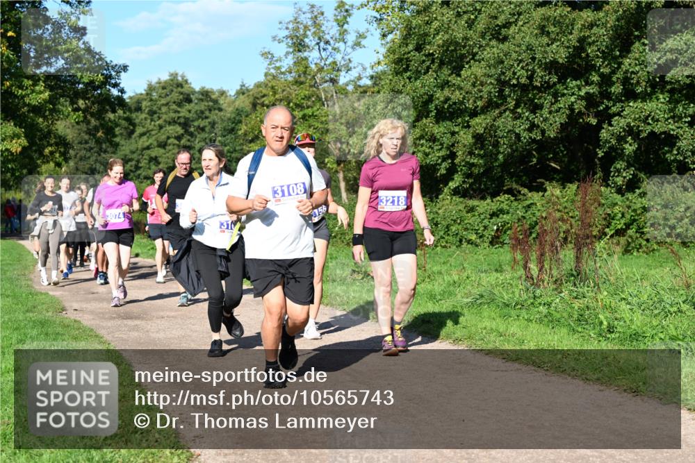 27.09.2026 - 35. Volkslauf durch das schöne Alstertal Dr. Thomas Lammeyer http://msf.ph/oto/10565743 27.09.2026 10:38:09 Laufen 3074, 310, 3108, 156, 3218 meine-sportfotos.de