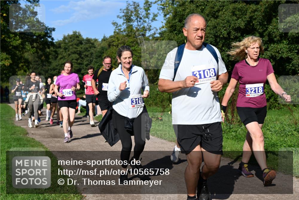 27.09.2026 - 35. Volkslauf durch das schöne Alstertal Dr. Thomas Lammeyer http://msf.ph/oto/10565758 27.09.2026 10:38:11 Laufen 3074, 306, 30, 3101, 3108, 3218 meine-sportfotos.de