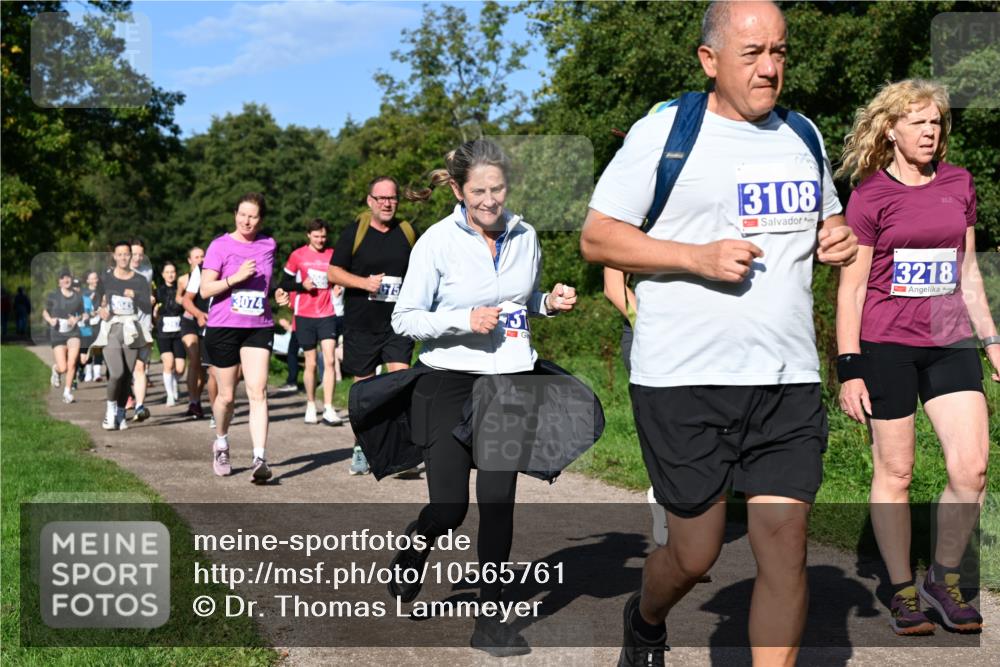 27.09.2026 - 35. Volkslauf durch das schöne Alstertal Dr. Thomas Lammeyer http://msf.ph/oto/10565761 27.09.2026 10:38:11 Laufen 75, 3074, 3108, 3218 meine-sportfotos.de