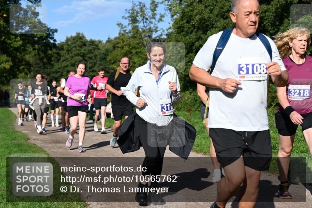 27.09.2026 - 35. Volkslauf durch das schöne Alstertal Dr. Thomas Lammeyer http://msf.ph/oto/10565762 27.09.2026 10:38:11 Laufen 310, 3108, 3218 meine-sportfotos.de