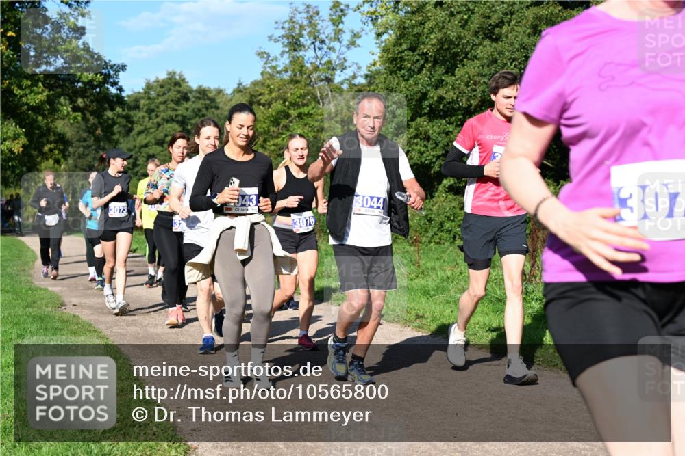 27.09.2026 - 35. Volkslauf durch das schöne Alstertal Dr. Thomas Lammeyer http://msf.ph/oto/10565800 27.09.2026 10:38:15 Laufen 3073, 43, 3076, 3044, 307 meine-sportfotos.de