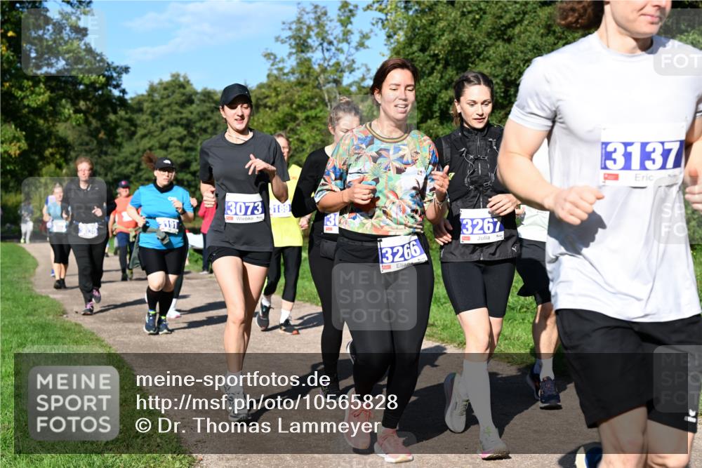 27.09.2026 - 35. Volkslauf durch das schöne Alstertal Dr. Thomas Lammeyer http://msf.ph/oto/10565828 27.09.2026 10:38:18 Laufen 191, 3073, 189, 10, 3266, 3267, 3137 meine-sportfotos.de