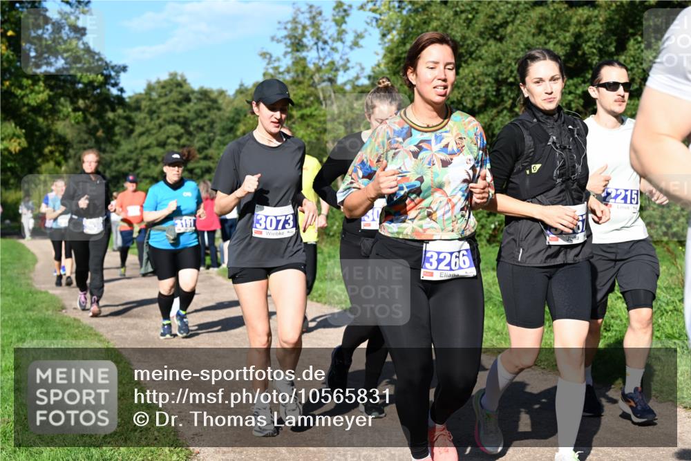 27.09.2026 - 35. Volkslauf durch das schöne Alstertal Dr. Thomas Lammeyer http://msf.ph/oto/10565831 27.09.2026 10:38:19 Laufen 3191, 3073, 3266, 2215 meine-sportfotos.de