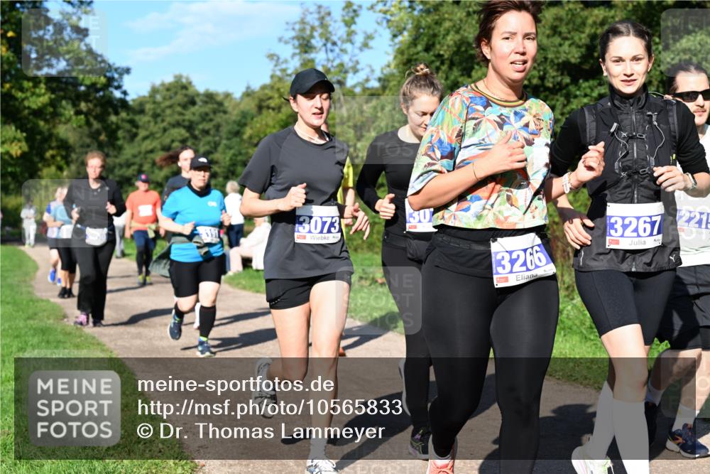 27.09.2026 - 35. Volkslauf durch das schöne Alstertal Dr. Thomas Lammeyer http://msf.ph/oto/10565833 27.09.2026 10:38:19 Laufen 3073, 3266, 3267, 2215 meine-sportfotos.de