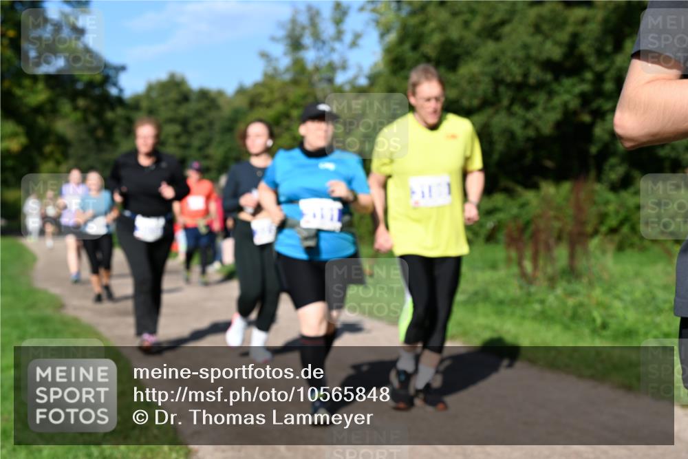 27.09.2026 - 35. Volkslauf durch das schöne Alstertal Dr. Thomas Lammeyer http://msf.ph/oto/10565848 27.09.2026 10:38:21 Laufen  meine-sportfotos.de