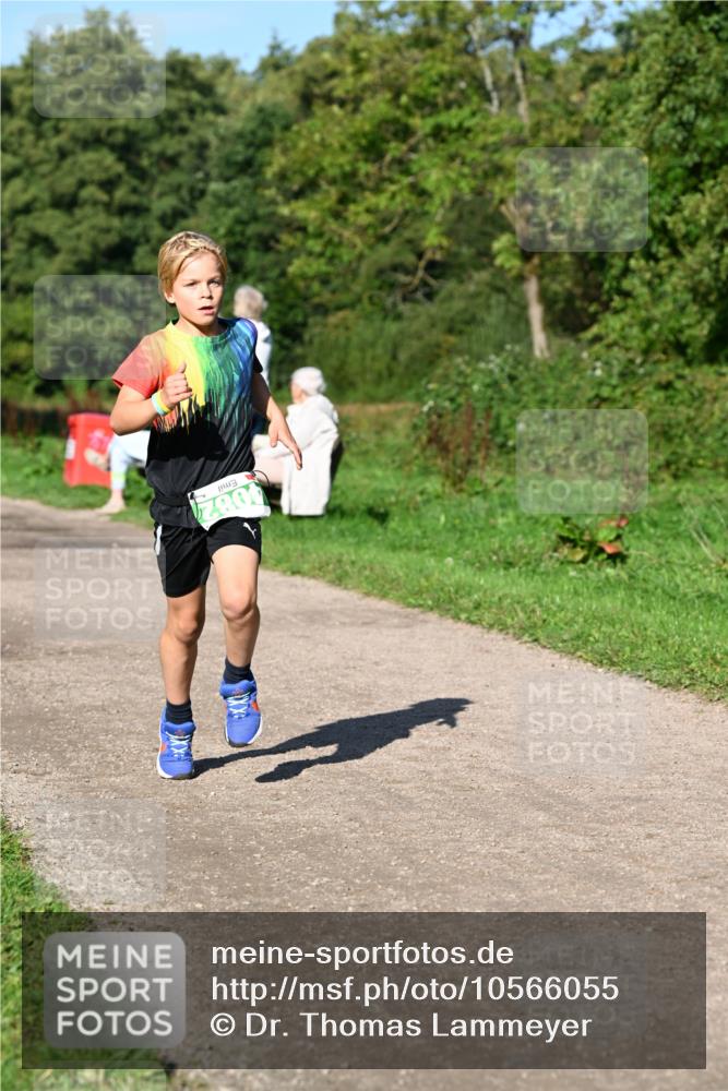 27.09.2026 - 35. Volkslauf durch das schöne Alstertal Dr. Thomas Lammeyer http://msf.ph/oto/10566055 27.09.2026 10:39:08 Laufen 4082 meine-sportfotos.de