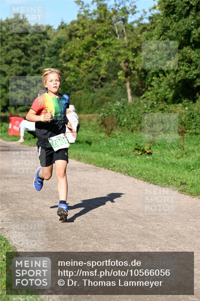 27.09.2026 - 35. Volkslauf durch das schöne Alstertal Dr. Thomas Lammeyer http://msf.ph/oto/10566056 27.09.2026 10:39:08 Laufen 4082 meine-sportfotos.de