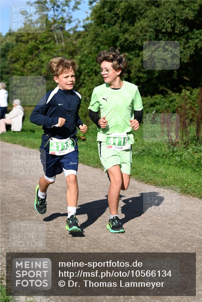 27.09.2026 - 35. Volkslauf durch das schöne Alstertal Dr. Thomas Lammeyer http://msf.ph/oto/10566134 27.09.2026 10:39:21 Laufen 4158, 4119 meine-sportfotos.de