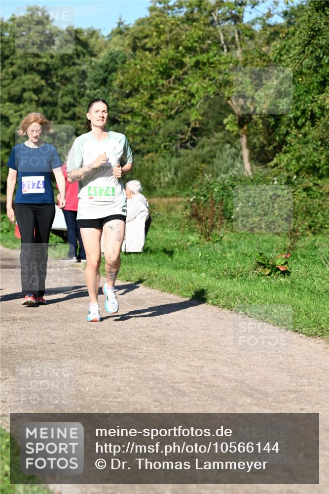 27.09.2026 - 35. Volkslauf durch das schöne Alstertal Dr. Thomas Lammeyer http://msf.ph/oto/10566144 27.09.2026 10:39:23 Laufen 3174, 4174 meine-sportfotos.de