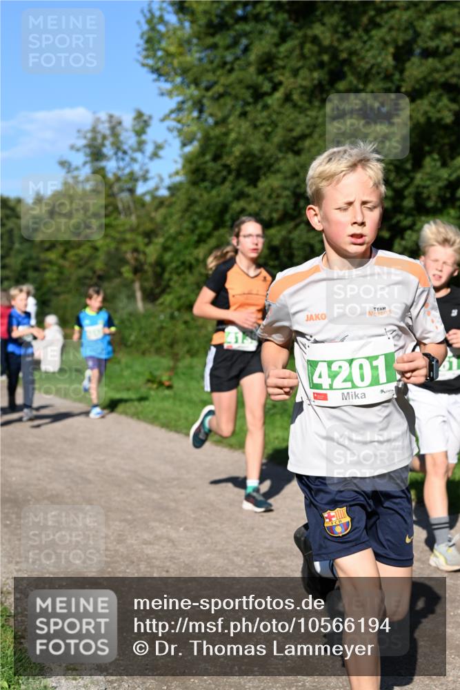 27.09.2026 - 35. Volkslauf durch das schöne Alstertal Dr. Thomas Lammeyer http://msf.ph/oto/10566194 27.09.2026 10:39:32 Laufen 4201 meine-sportfotos.de