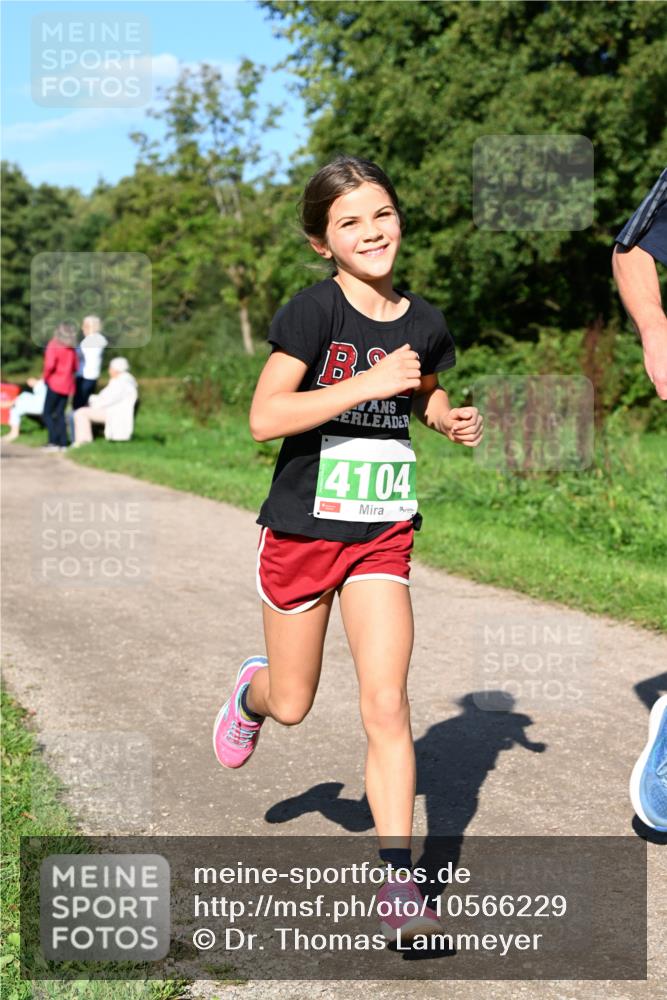 27.09.2026 - 35. Volkslauf durch das schöne Alstertal Dr. Thomas Lammeyer http://msf.ph/oto/10566229 27.09.2026 10:39:38 Laufen 4104 meine-sportfotos.de