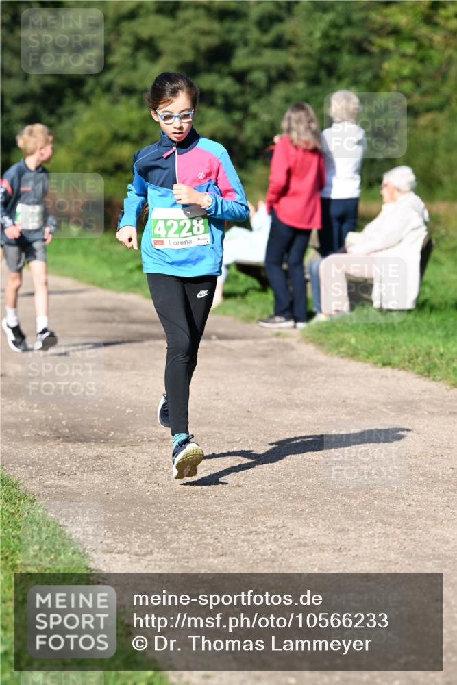 27.09.2026 - 35. Volkslauf durch das schöne Alstertal Dr. Thomas Lammeyer http://msf.ph/oto/10566233 27.09.2026 10:39:41 Laufen 4228 meine-sportfotos.de