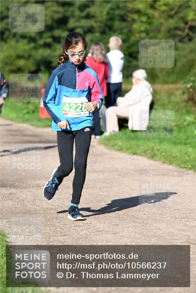 27.09.2026 - 35. Volkslauf durch das schöne Alstertal Dr. Thomas Lammeyer http://msf.ph/oto/10566237 27.09.2026 10:39:41 Laufen 4228 meine-sportfotos.de
