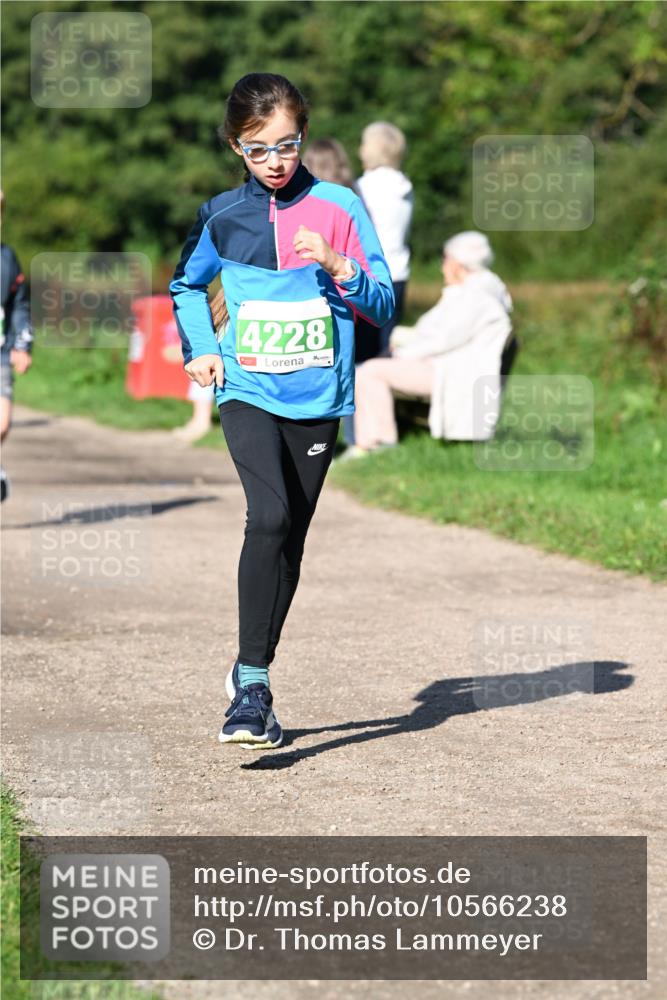 27.09.2026 - 35. Volkslauf durch das schöne Alstertal Dr. Thomas Lammeyer http://msf.ph/oto/10566238 27.09.2026 10:39:41 Laufen 4228 meine-sportfotos.de
