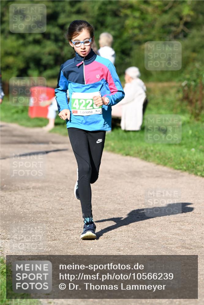 27.09.2026 - 35. Volkslauf durch das schöne Alstertal Dr. Thomas Lammeyer http://msf.ph/oto/10566239 27.09.2026 10:39:41 Laufen 4225 meine-sportfotos.de