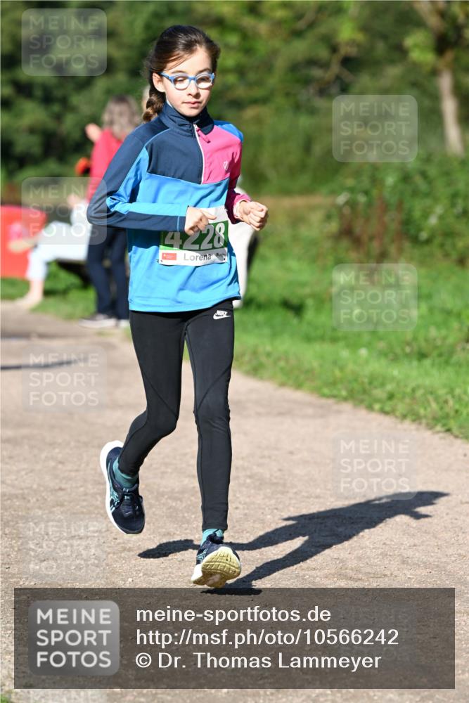 27.09.2026 - 35. Volkslauf durch das schöne Alstertal Dr. Thomas Lammeyer http://msf.ph/oto/10566242 27.09.2026 10:39:42 Laufen 4228 meine-sportfotos.de
