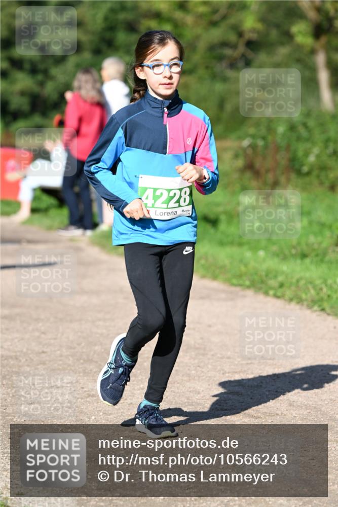 27.09.2026 - 35. Volkslauf durch das schöne Alstertal Dr. Thomas Lammeyer http://msf.ph/oto/10566243 27.09.2026 10:39:42 Laufen 4228 meine-sportfotos.de
