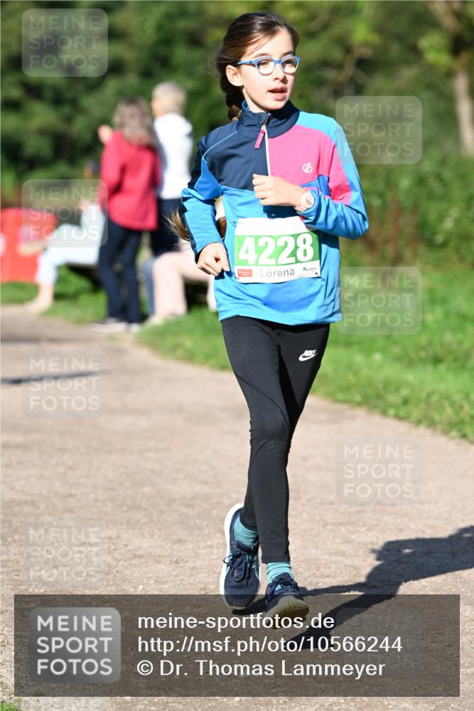 27.09.2026 - 35. Volkslauf durch das schöne Alstertal Dr. Thomas Lammeyer http://msf.ph/oto/10566244 27.09.2026 10:39:42 Laufen 4228 meine-sportfotos.de
