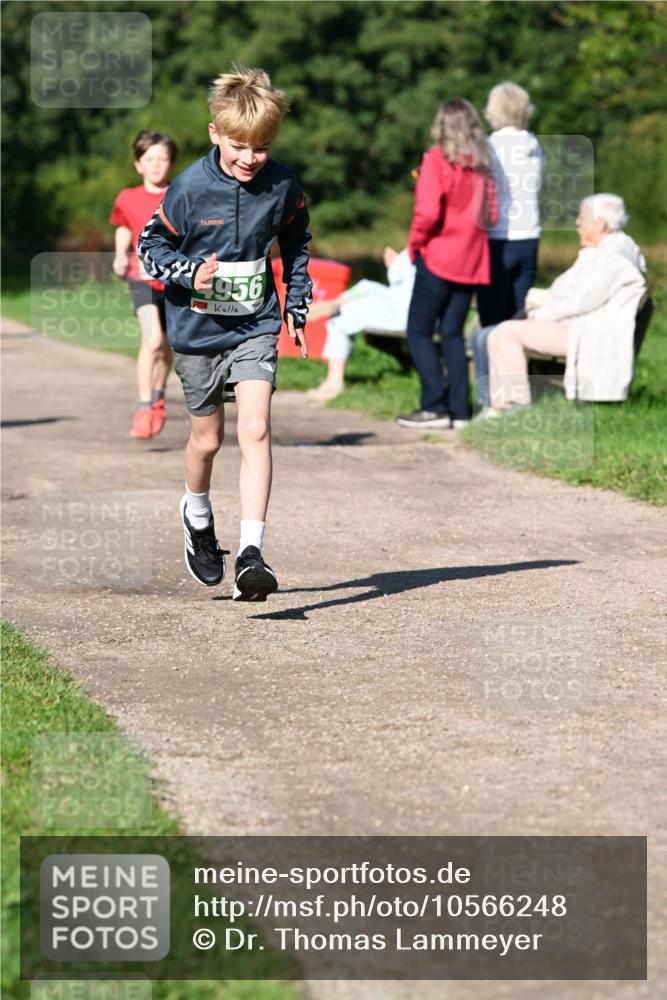 27.09.2026 - 35. Volkslauf durch das schöne Alstertal Dr. Thomas Lammeyer http://msf.ph/oto/10566248 27.09.2026 10:39:43 Laufen 4956 meine-sportfotos.de