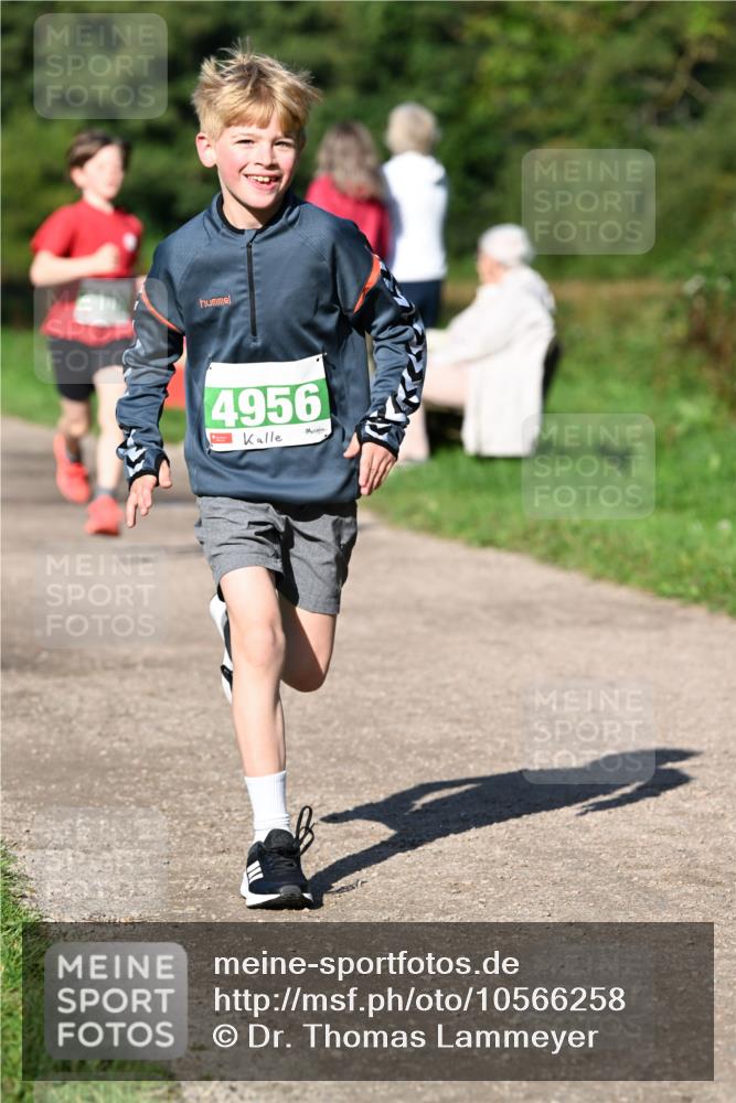 27.09.2026 - 35. Volkslauf durch das schöne Alstertal Dr. Thomas Lammeyer http://msf.ph/oto/10566258 27.09.2026 10:39:44 Laufen 4956 meine-sportfotos.de