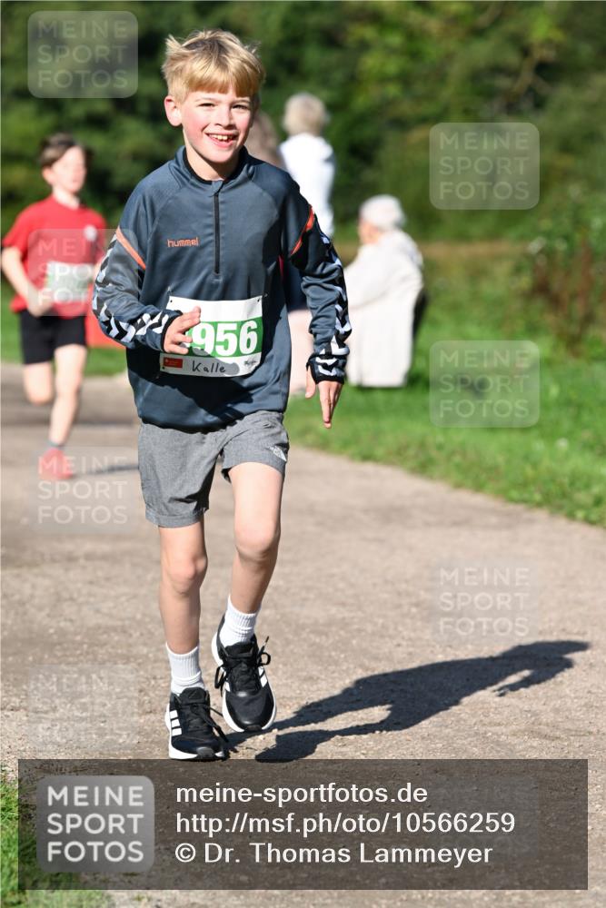 27.09.2026 - 35. Volkslauf durch das schöne Alstertal Dr. Thomas Lammeyer http://msf.ph/oto/10566259 27.09.2026 10:39:45 Laufen 956 meine-sportfotos.de